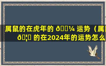 属鼠的在虎年的 🐼 运势（属鼠 🦉 的在2024年的运势怎么样 全年）